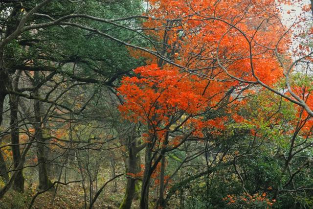 深秋石泉漫游记