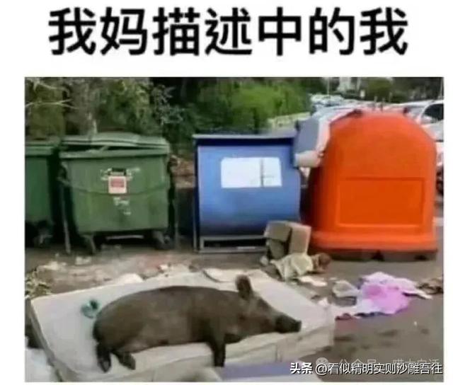 开心一笑 但求一赞❤️