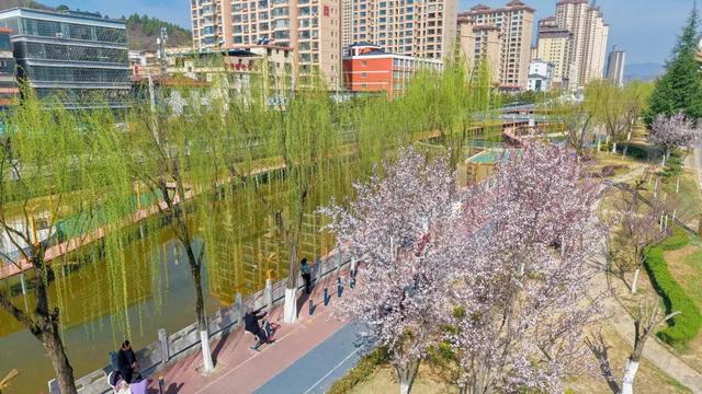 徽县：水清岸绿河畅景美