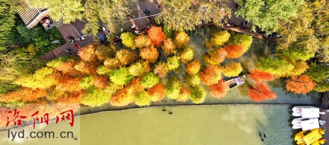 多彩园林 扮靓洛城