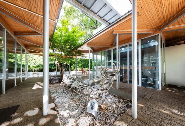 本月,苏州河的驿站在天上“飞”