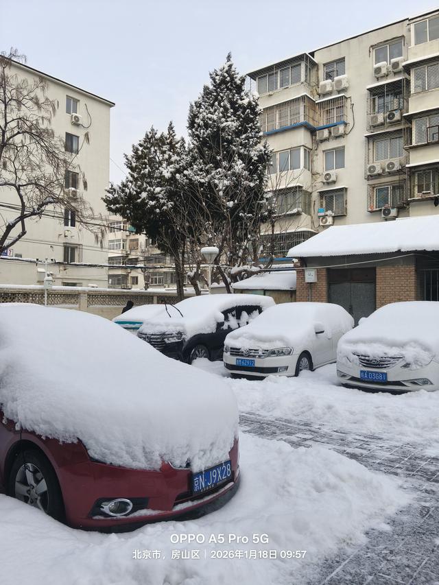 北京的雪太有“心眼”了！给大地铺银装，为胡同增色彩，神了。
