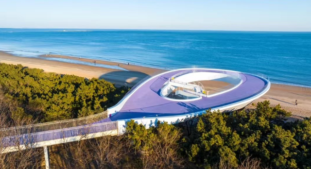 官宣！12月31日见！