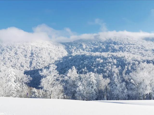 徒步踏雪去！沉浸式打卡龙江冬日奇观