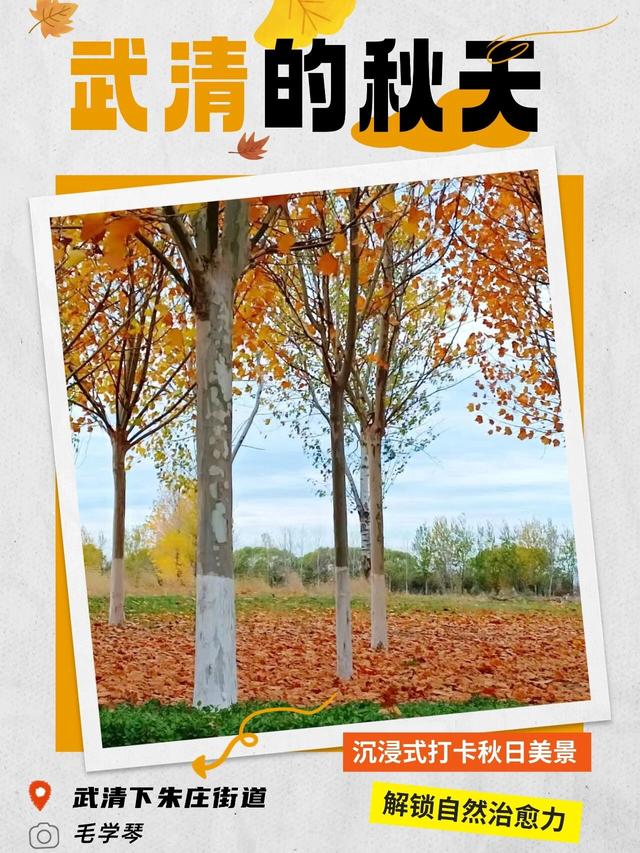 嗨，你的秋天留住了吗？