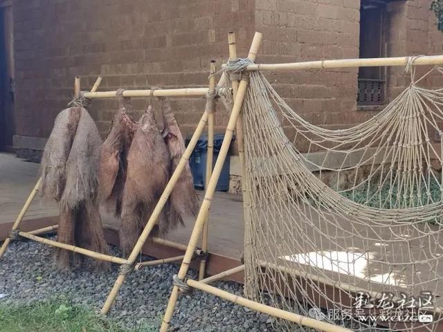 在滇池绿道，把生活过成诗