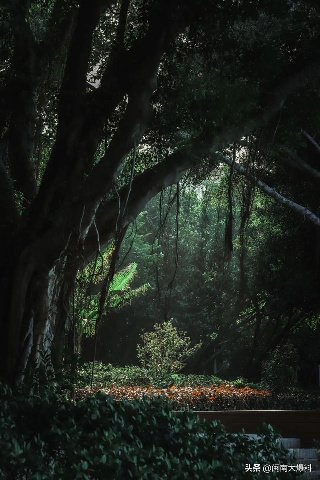 冬日暖阳里，来丰泽这儿享受惬意时光