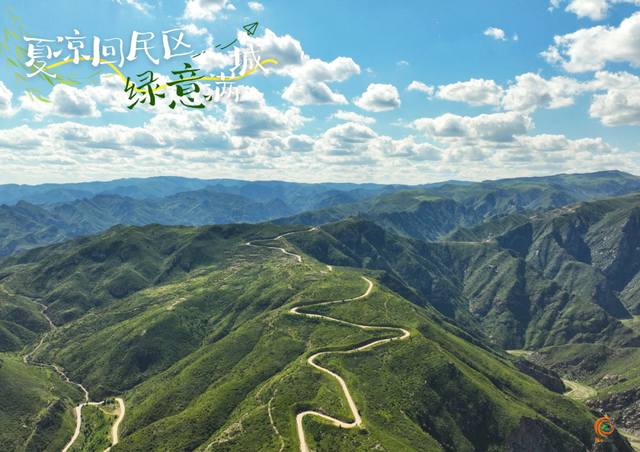 呼和浩特市回民区的夏天，是“植”得N刷的绿！