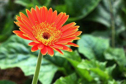 情感爆文《在感情的世界里，懂比爱重要》