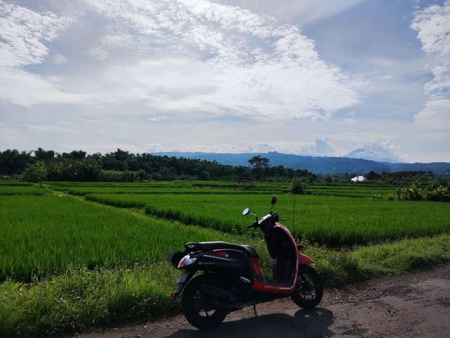 来去如风，骑着摩托穿越印尼爪哇岛乡村