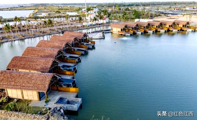 极南暖冬里，艺术在蚝壳上发光