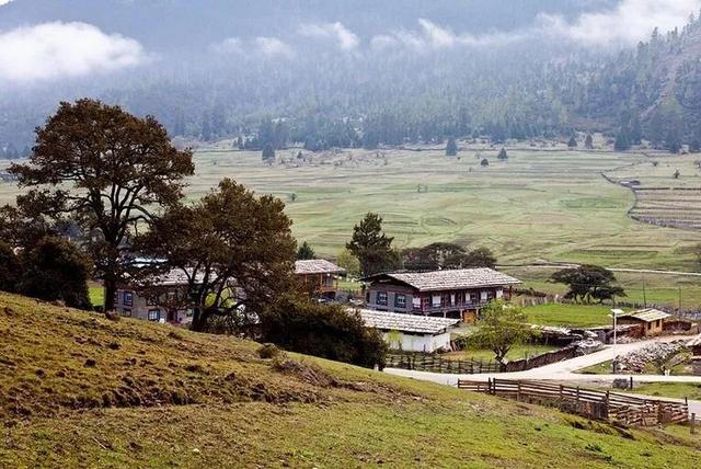 林芝凭什么是“西藏江南”？答案在这里。