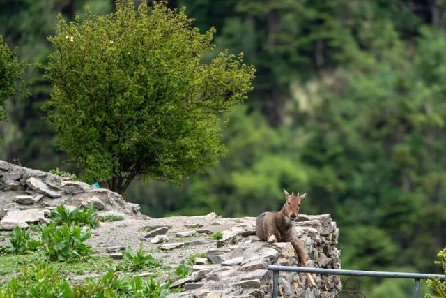 游客稀少的冬天，反而才是西藏旅行的天花板？