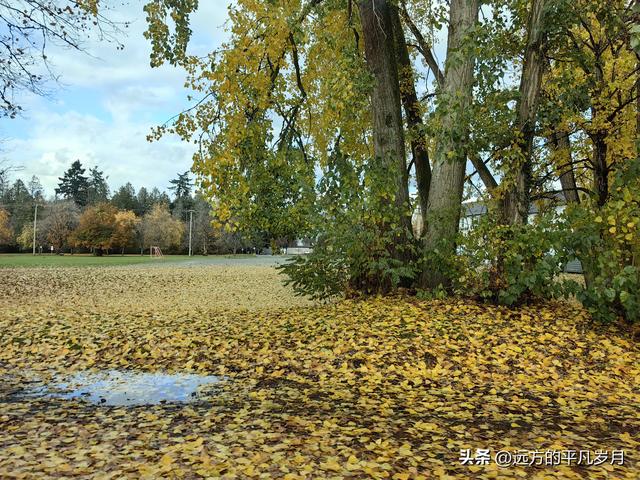 温哥华游记（五）