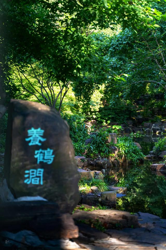 养鹤涧！虎丘今夏捧出的“清凉秘境”！