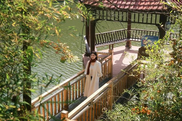 可惜你不听《枫》,不知道醴陵这片枫林到底有多美!