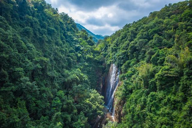 官宣！肇庆一大批景区免门票！这些人有福啦→
