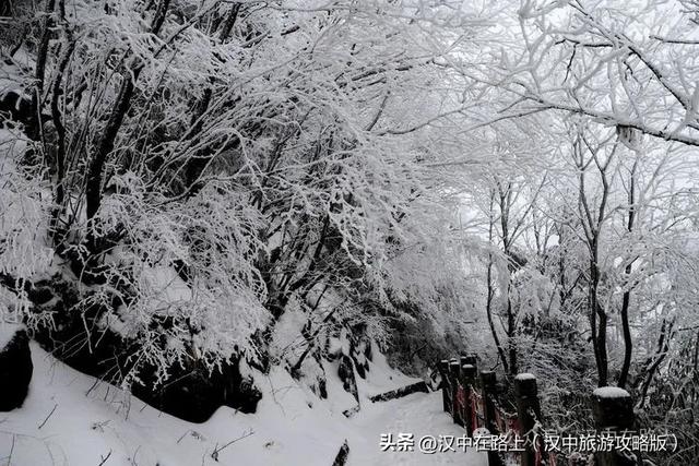 来汉中近郊这个赏雪秘境,等一场银装素裹的治愈盛景!