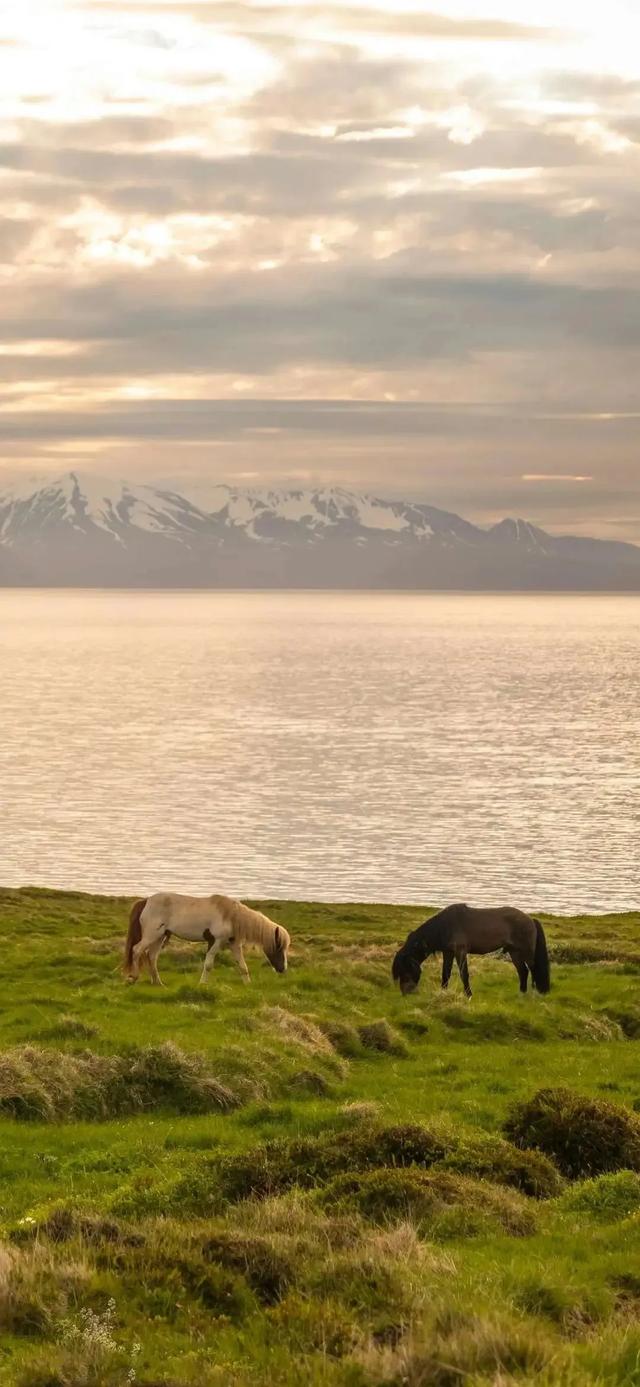 手机壁纸|山水湖海风景，各有千秋