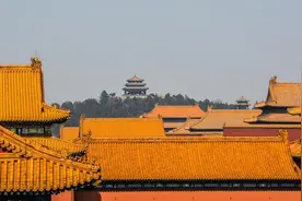 皇宫不能种树的秘密图片