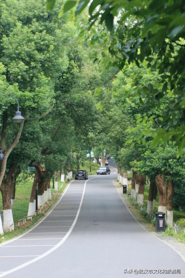 热热热！夏日避暑纳凉路线来啦