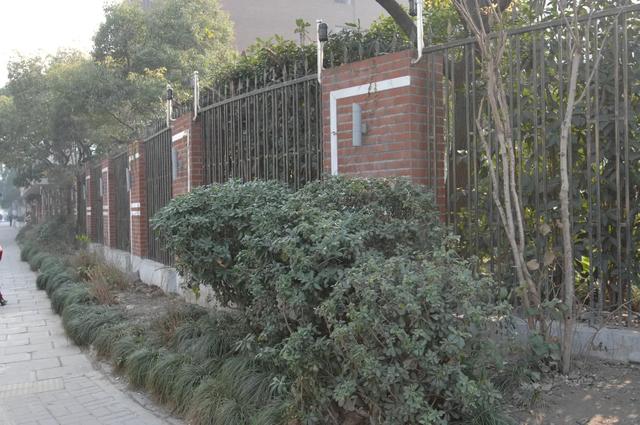 典藏上海,向新而生!上海市城市建设档案馆打开围墙,与市民共享单位附属绿地空间