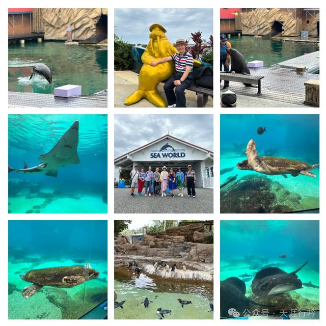 澳洲黄金海岸与布里斯班旅游诗抄