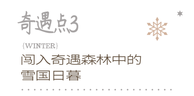 全城寻「人」启事！在市中心奇遇森林，开启一场姜饼人寻踪之旅