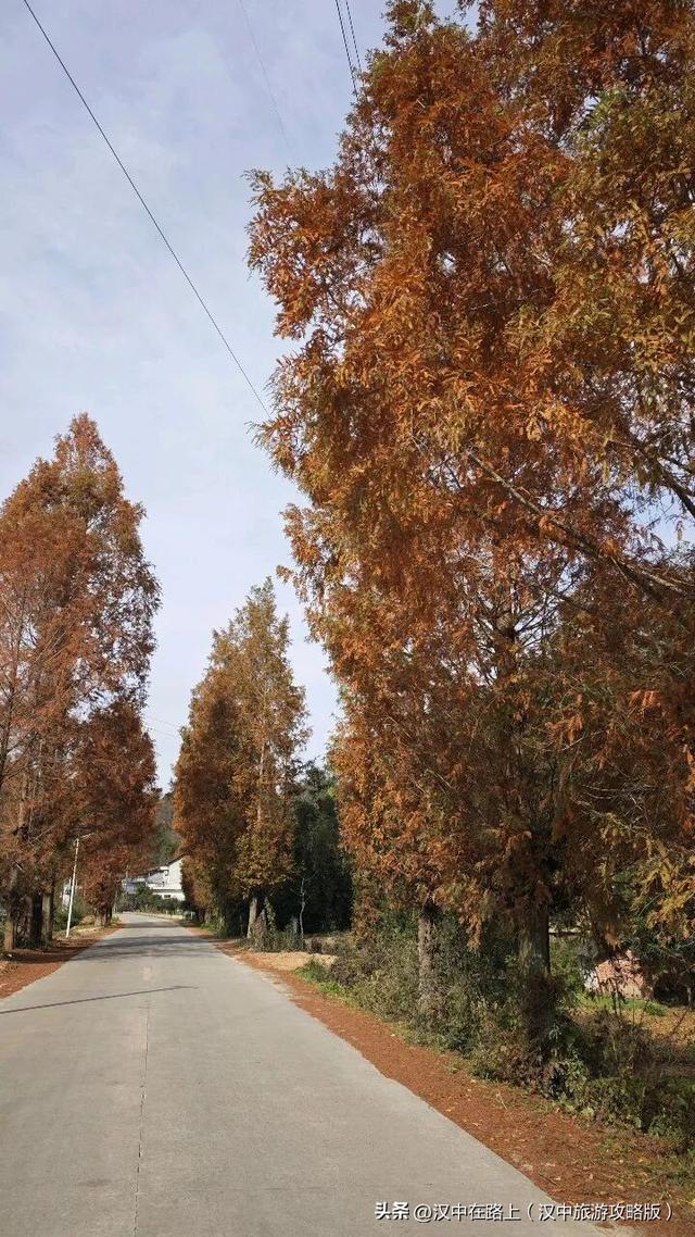 汉中洋西路自驾邂逅冬日限定美景！