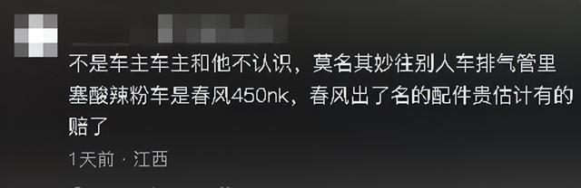 精神小妹砸车后续：当场被警方抬走，目击者透露更多，车主曝真相