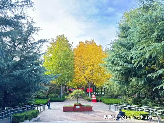 公园景区秋色图鉴,这几处必打卡