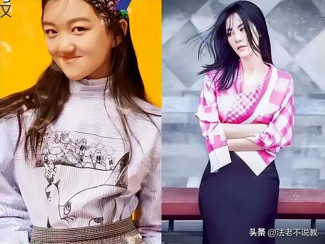 李亚鹏欠债4.6亿，19岁女儿李嫣却被全网逼债，王菲也护不住