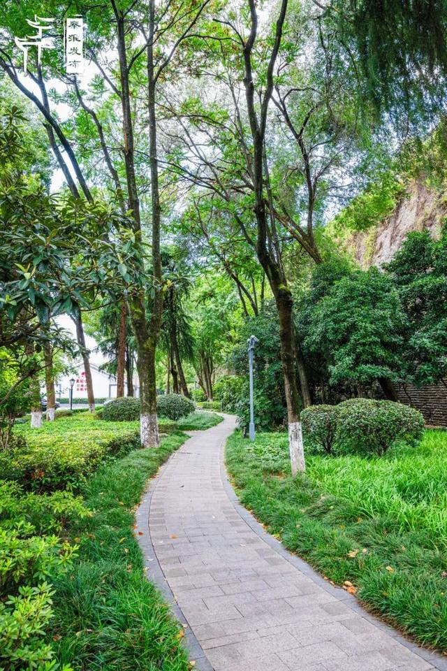 秦淮citywalk｜夏日寻凉之月牙湖