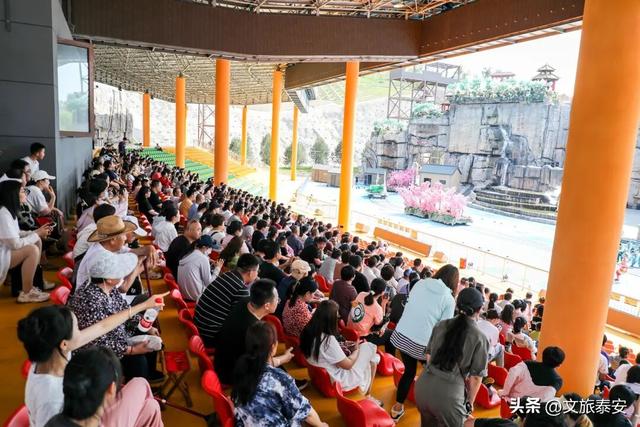 新年第一站——泰安！给自己的2026年酷酷开个场~