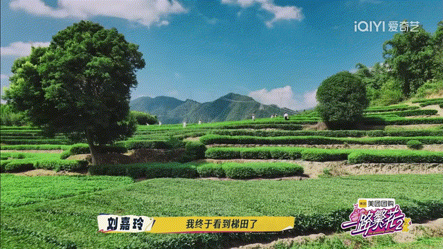 被《一路繁花2》种草的泉州非遗之旅，攻略来了！