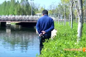 本月起至6月30日，全面禁止！但是仍然有人图片