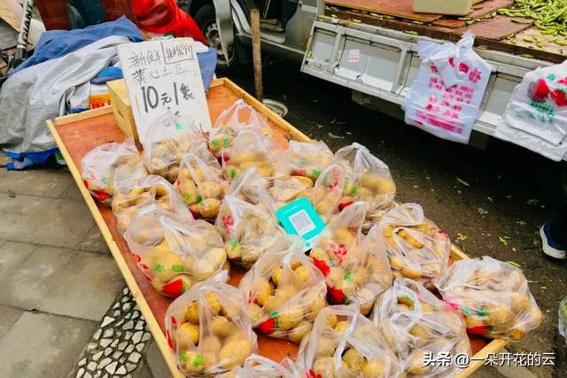 成都“最高级买手店”藏在立交桥下：银杏叶是顶棚，生活是爆款