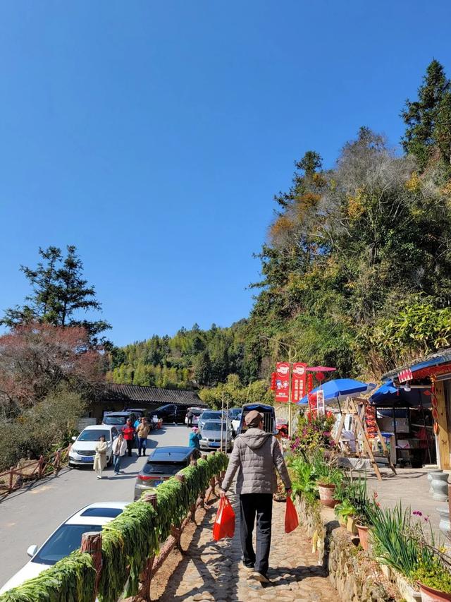 土楼拾光①:福建土楼景区——田螺坑片区（2025.2.9 漳州·南靖）