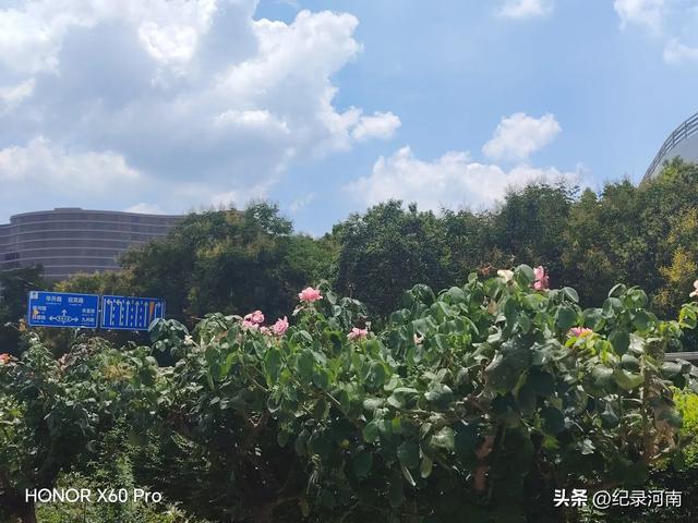 信华建国酒店和新城吾悦广场，如同商丘市中心城区的两颗璀璨明星