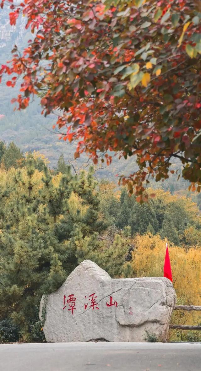 中秋国庆来畅玩山野！淄博这里秋色正在加载中，红叶大片先收藏→