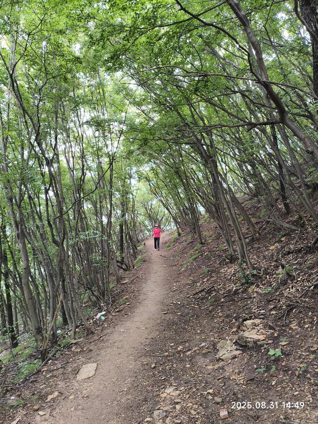 秋风起，重著屐。徒步南太行经典穿越路线:八里沟-老龙口-九莲山