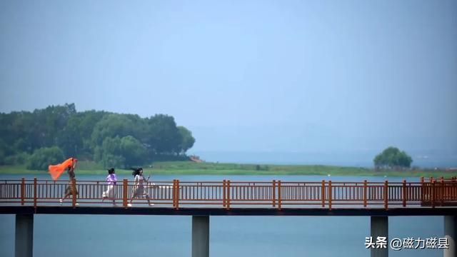 魅力磁县｜不止看景！溢泉湖“天地课堂”解锁自然奥秘​~