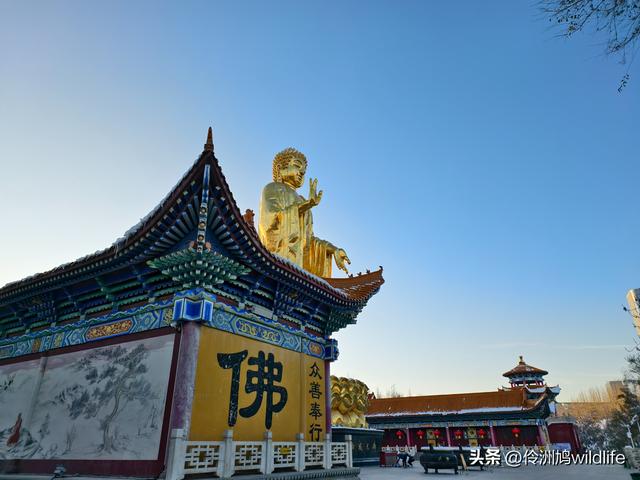 新疆乌鲁木齐红光山大佛寺