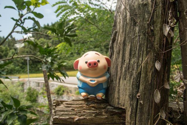 猪猪人，“请做好准备”，有将一生中的“好福气”找上你！