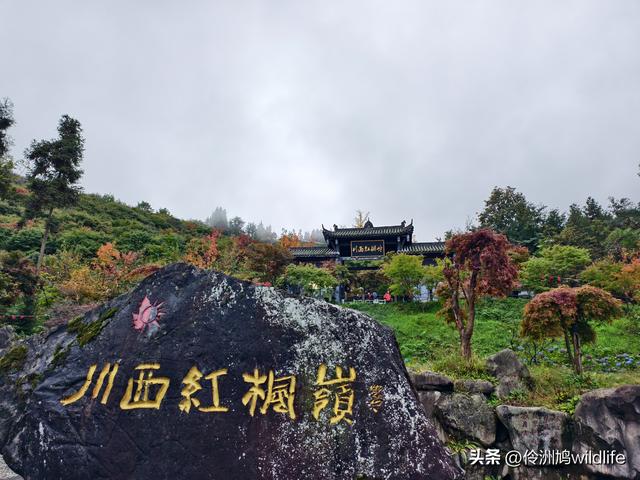 四川行(73)什邡红枫岭徒步到钟鼎寺