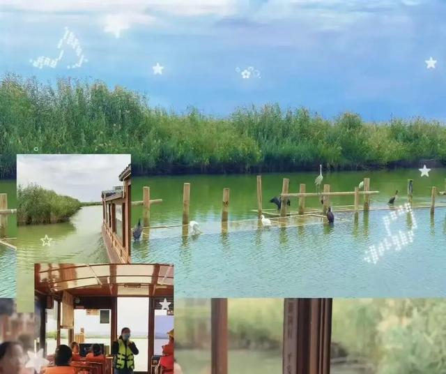 鸣翠湖湿地荣登抖音自然景观热销榜榜首