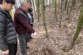 山林变猎场 临安两名男子非法捕猎反被“捕”图片