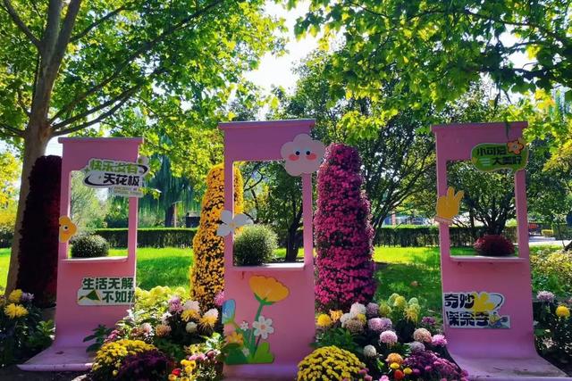 避开人潮！十一来世界花卉大观园，沉浸式解锁“N”种游玩方式