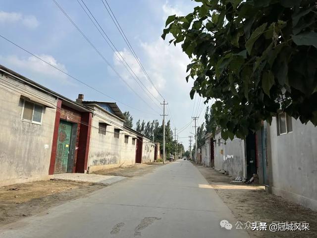 冠县乡韵·辛集镇丁刘八寨