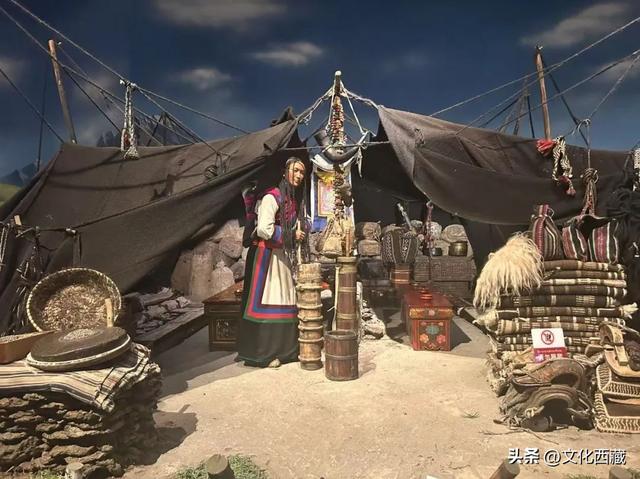 暑假博物馆火爆出圈！带娃来西藏，去这些地方“下馆子”就对了！